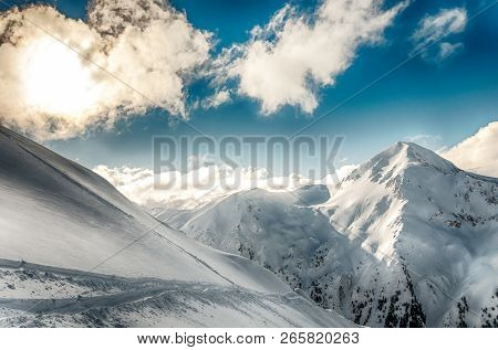 Winter Alpine Snowpeak Background With Ountainous Terrain And Snow Covered Trees Texture. Bansko, Bu