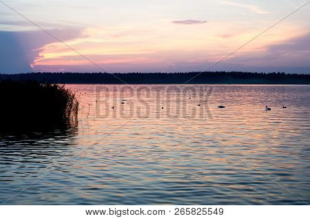 Amazing Sunset Over Necko Lake. Podlasie, Poland.