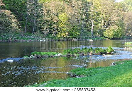 River Regen In The Landscape Of Bavaria
