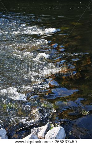 River Regen In The Landscape Of Bavaria