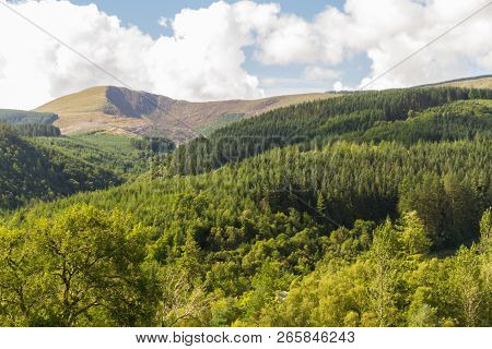 Welsh Landscape Hills And Trees.