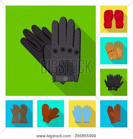 Vector Design Of Glove And Winter Sign. Set Of Glove And Equipment Stock Vector Illustration.