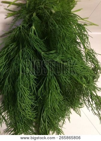 Green,fresh Tasty,healthy Dills For Salad From The Garden