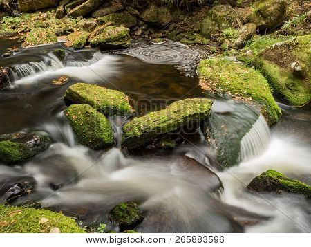 Hamersky Stream At Sumave In The Fall. Autumn Colors On Hamersky Creek. Sumava Southern Bohemia. Col