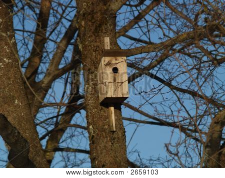 Maison d'oiseaux au printemps