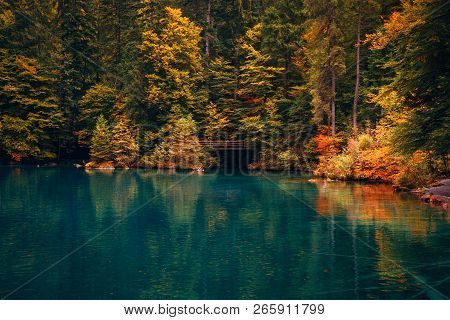 Autumn Time At Romantic Forest Lake Blausee, One Of The Best Known Mountain Lakes In Switzerland.