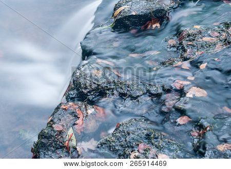 Forest Stream Running Over Rocks, A Small Waterfall