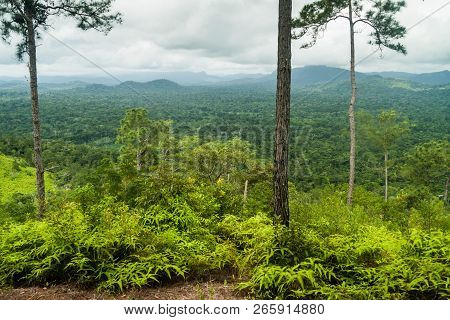 View Over Cockscomb Basin Wildlife Sanctuary, Belize.