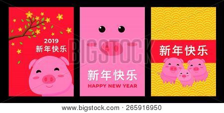 Happy Chinese New Year 2019 Year Of The Pig. Chinese Characters Mean Happy New Year, Wealthy, Zodiac