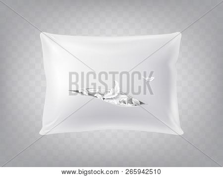 3d Realistic Torn Square Pillow Isolated On Translucent Background. Template, Mock Up Of White Fluff