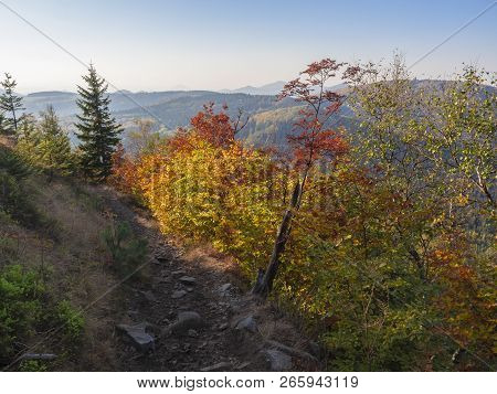 View From Footpath On Top Of Klic Or Kleis In Lusatian Mountains Or Luzicke Hory With Vivid Autumn C