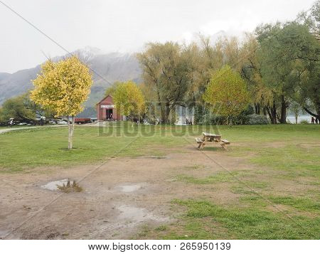 Bench Seat In Public Park Beautiful Nature