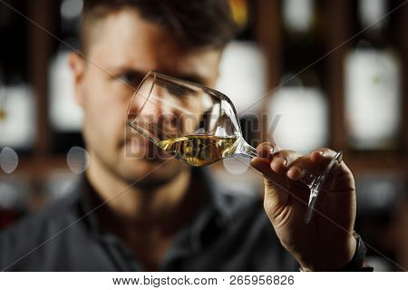 Bokal Of White Wine On Background, Male Sommelier Appreciating Drink