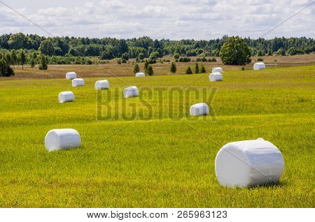 Landscape Photography Of Mown And Packed Hay On The Fields. Lithuanian Agriculture.