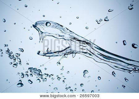 水蛇飞溅。