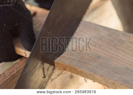 Saw Boards With A Hand Saw On A Tree, A Saw Of A Tree With A Hacksaw