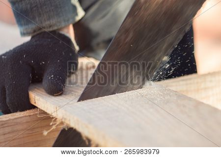 Saw Boards With A Hand Saw On A Tree, A Saw Of A Tree With A Hacksaw