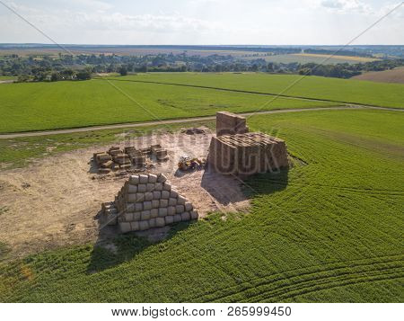Aerial view from a drone tractor folding a pile of hay in stacks on a green field on a sunny day. Agribusiness concept