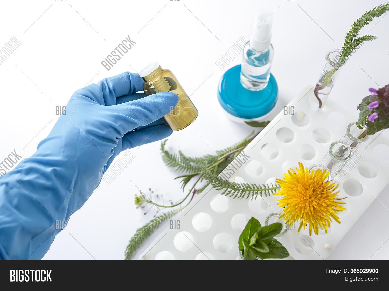 Flowers Plants Test Image & Photo (Free Trial) Bigstock