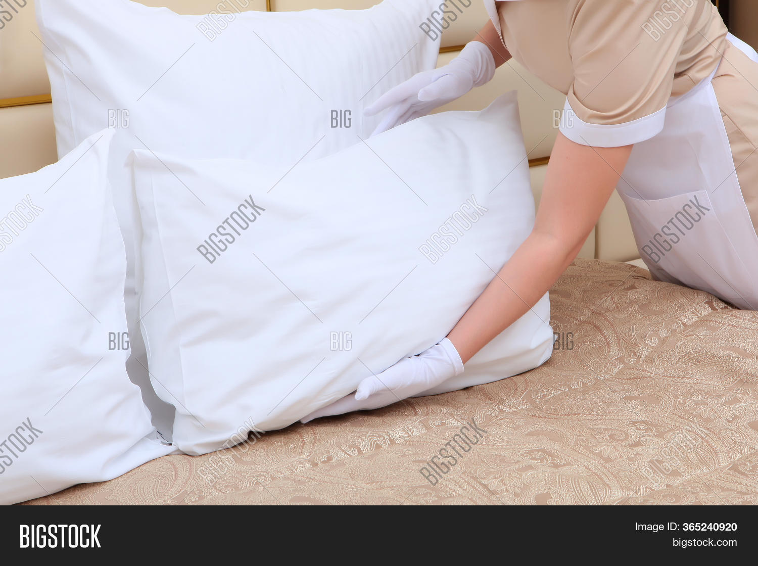 Maid Makes Bed New Image & Photo (Free Trial) Bigstock