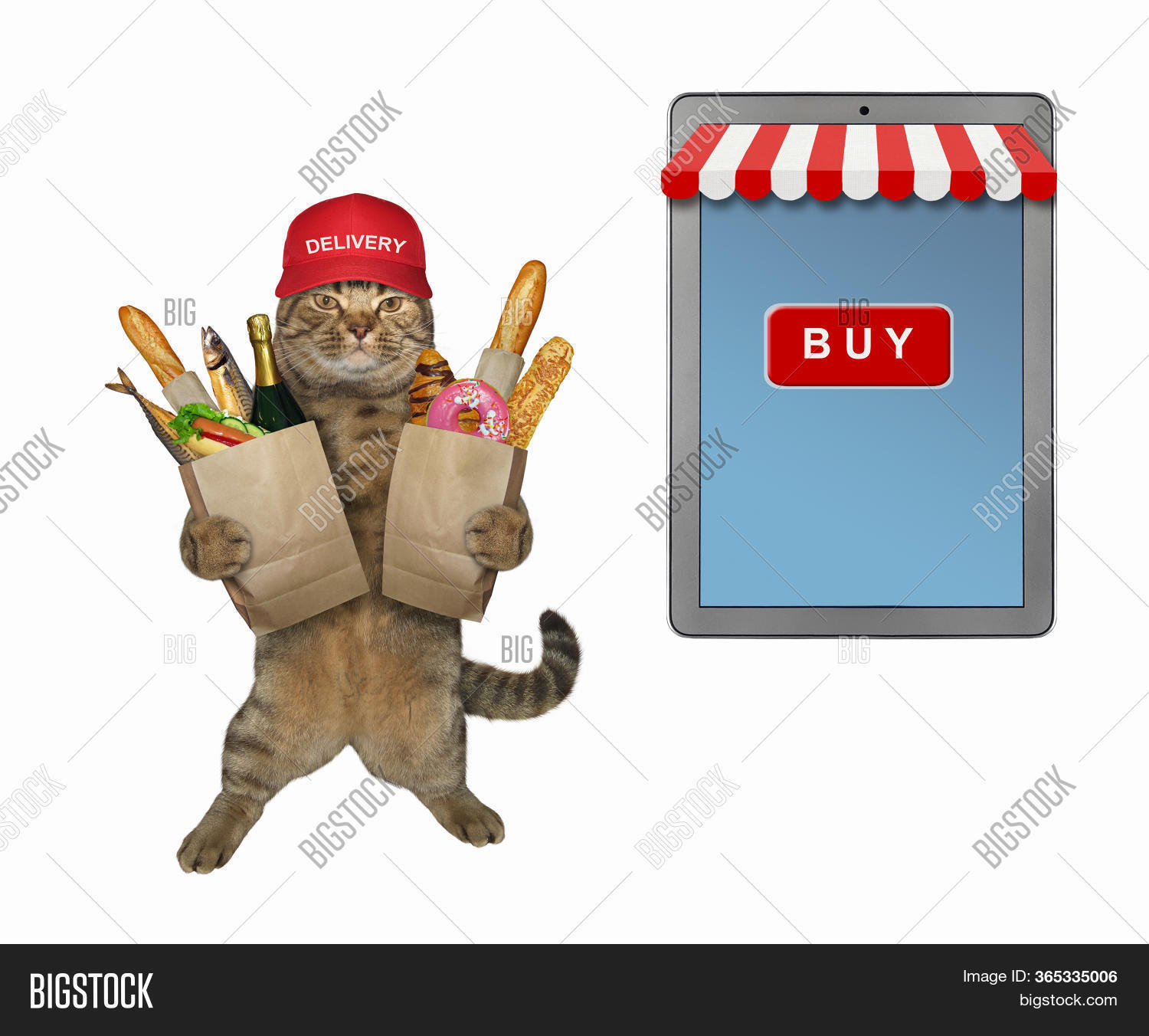 Beige Cat Courier Red Image & Photo (Free Trial) Bigstock
