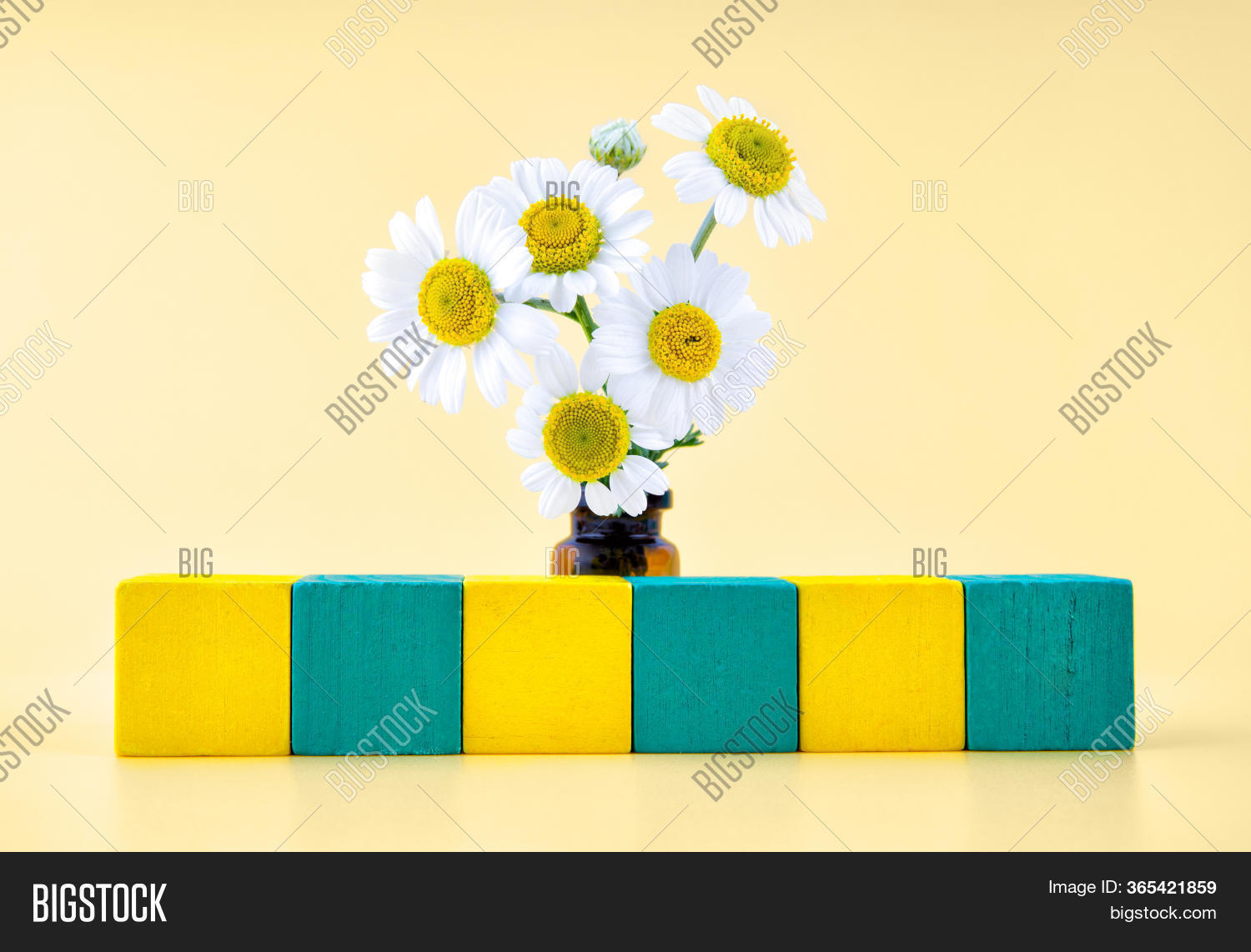 Creative Composition Image & Photo (Free Trial) | Bigstock