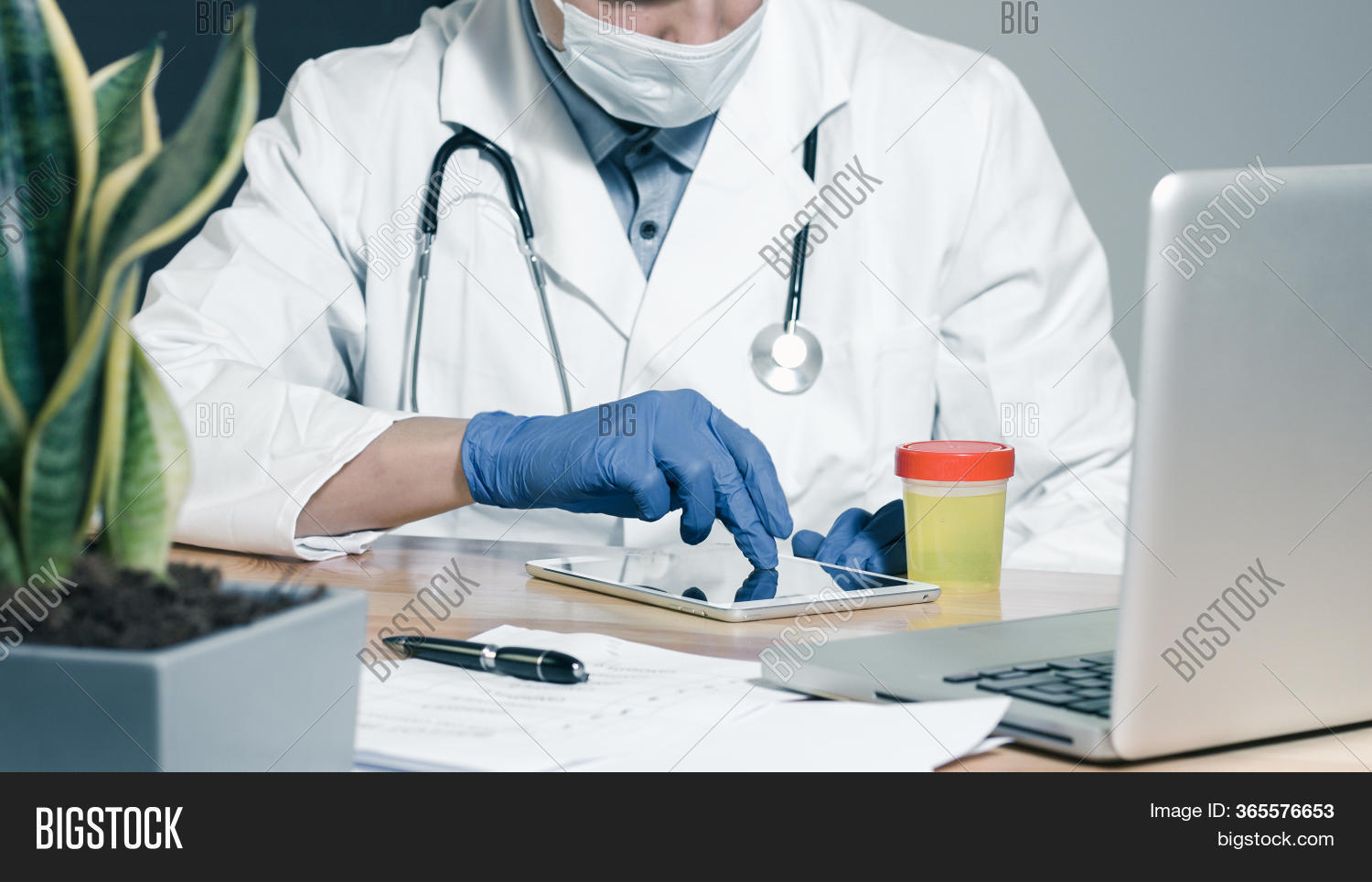 Doctor Testing Urine Image & Photo (Free Trial) Bigstock