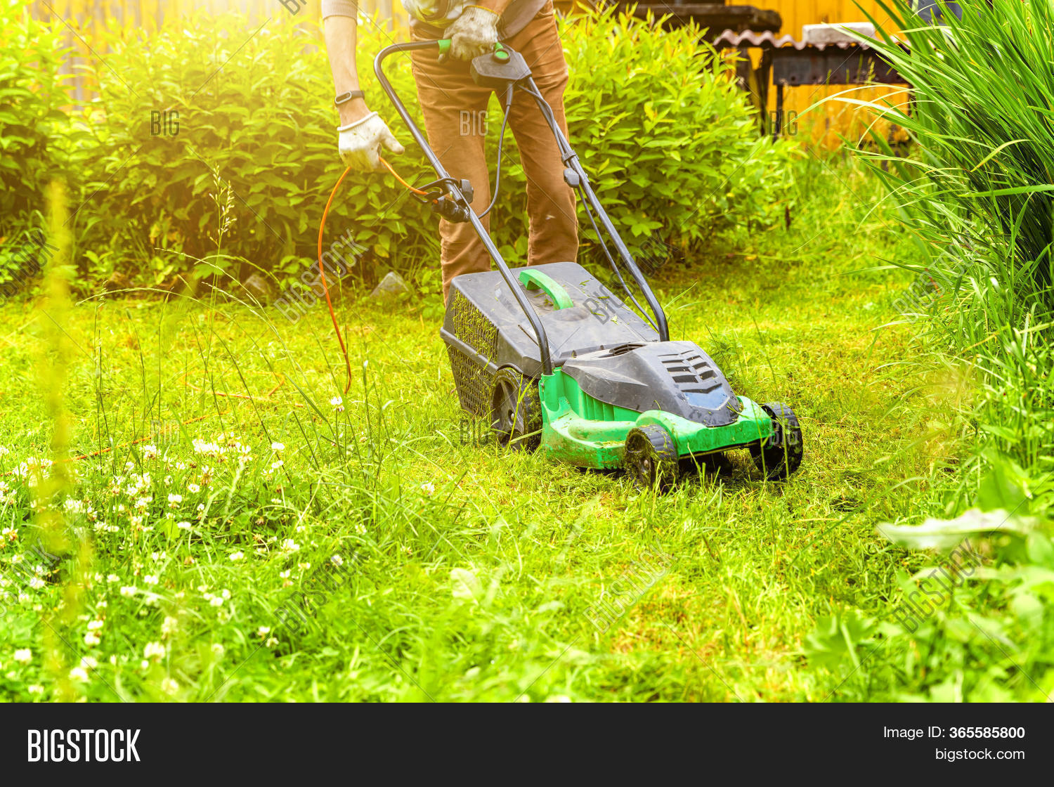 Man Cutting Green Image & Photo (Free Trial) Bigstock