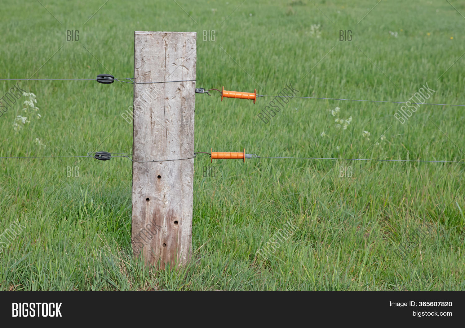 Electric Fence Handle Image & Photo (Free Trial) Bigstock