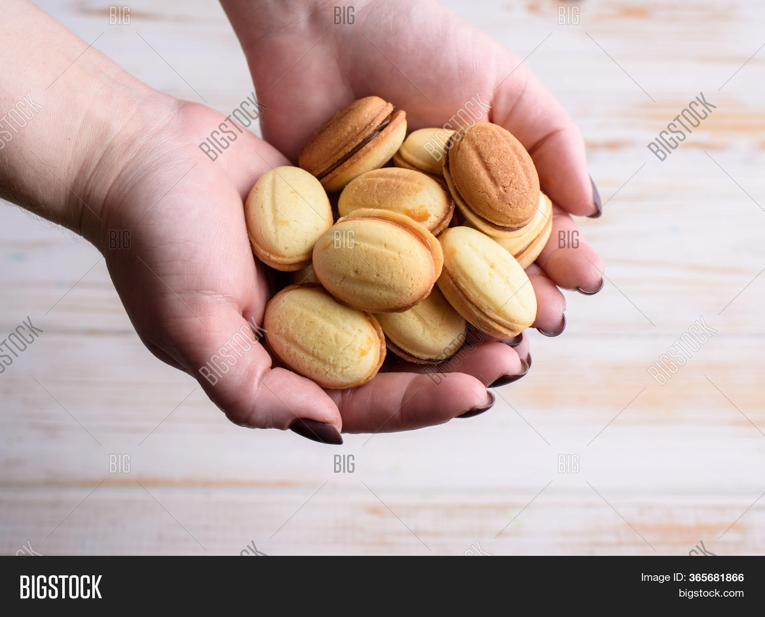 Homemade Russian Nuts Image & Photo (Free Trial) Bigstock