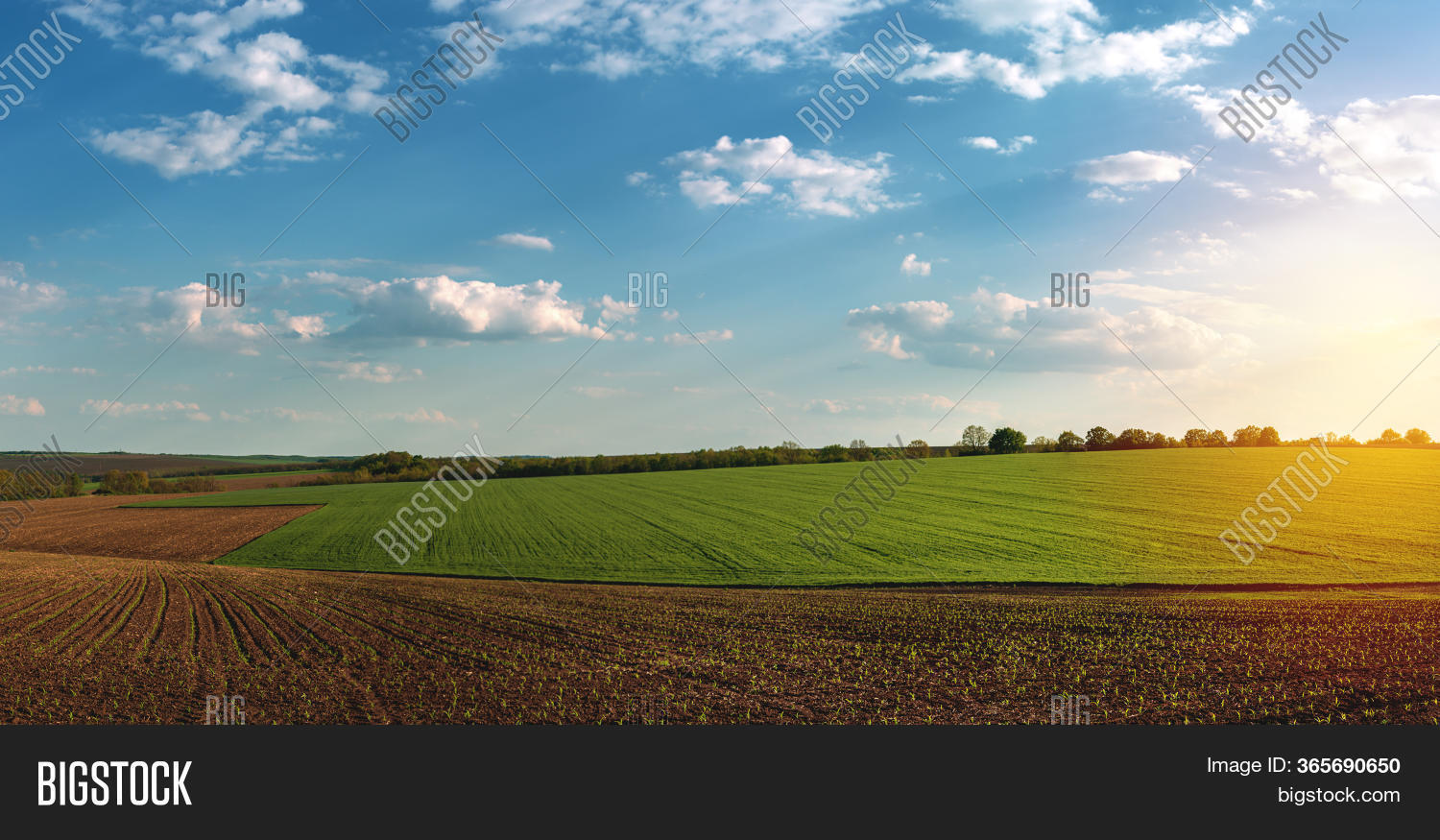 Fertile Agricultural Image & Photo (Free Trial) Bigstock