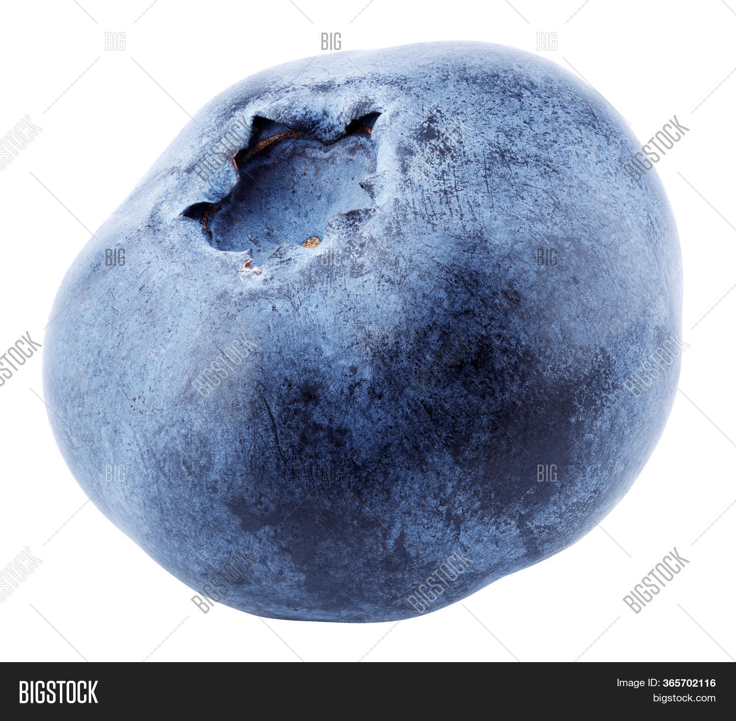 Single Blueberry Berry Image & Photo (Free Trial) | Bigstock