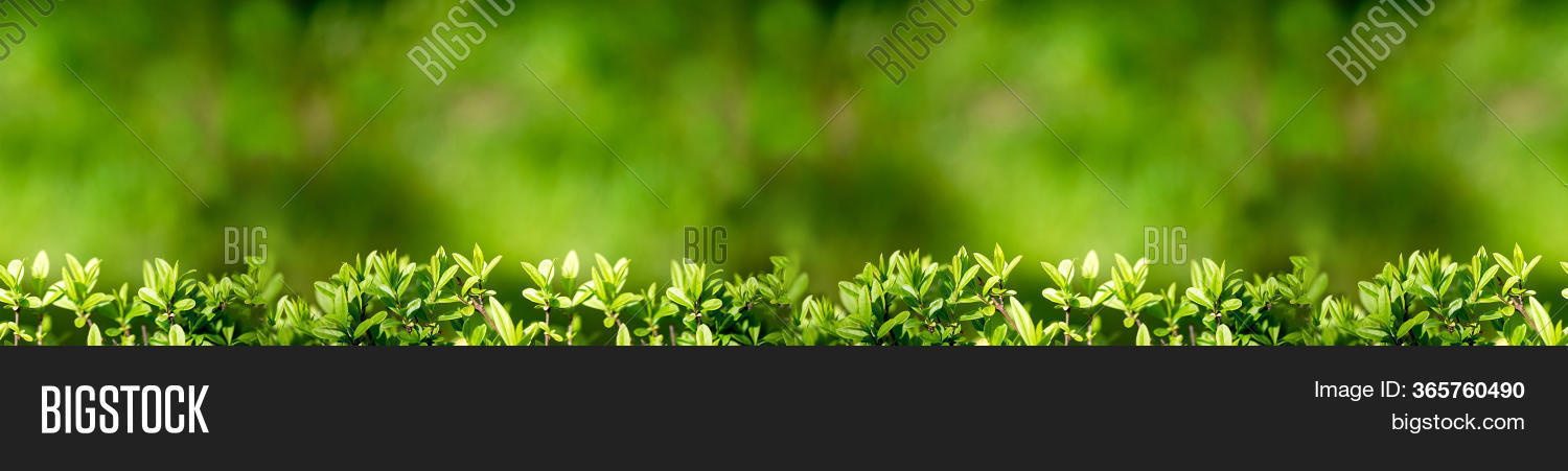 Banner Background Image & Photo (Free Trial) | Bigstock