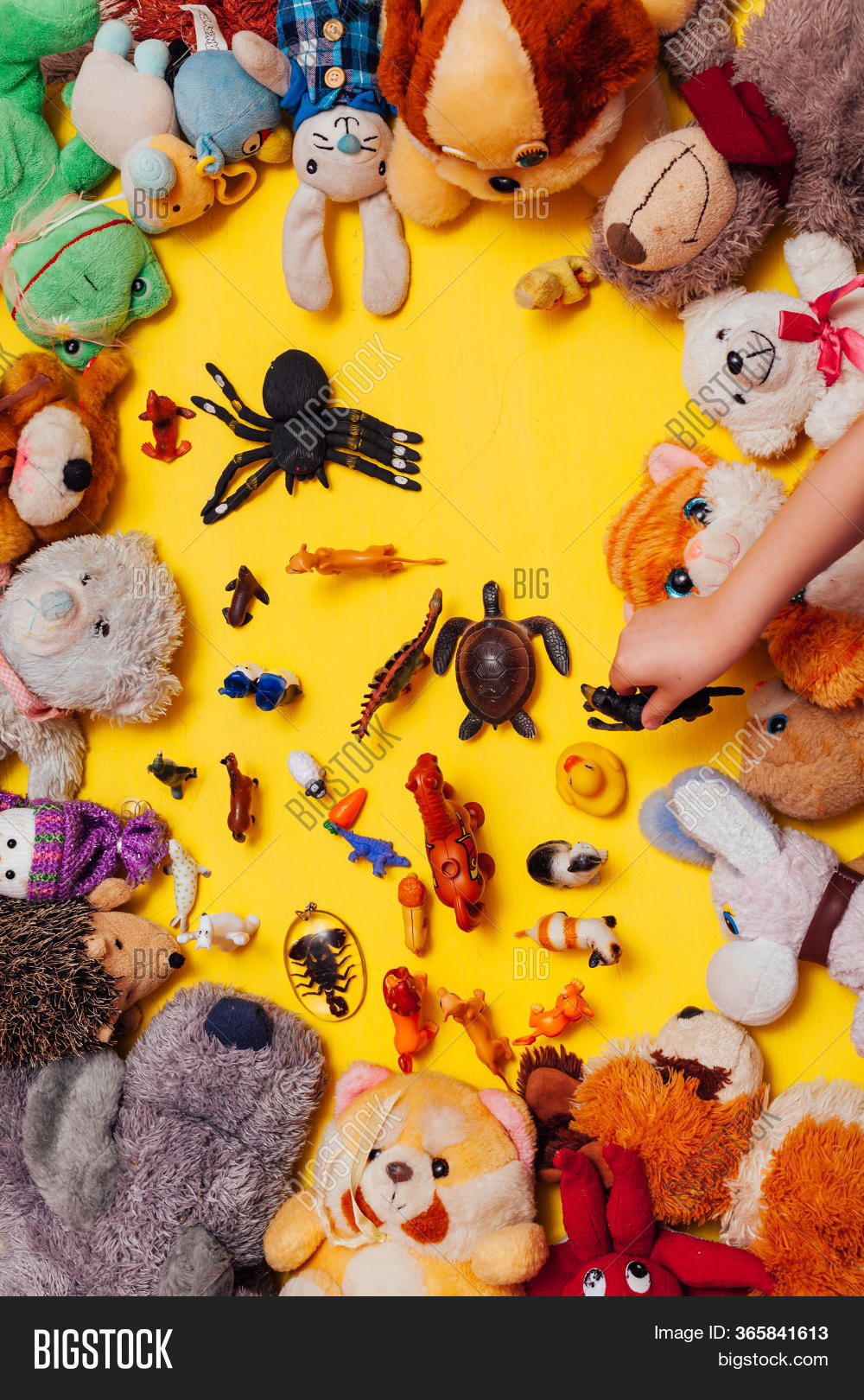 Childrens Soft Toys Image & Photo (Free Trial) Bigstock