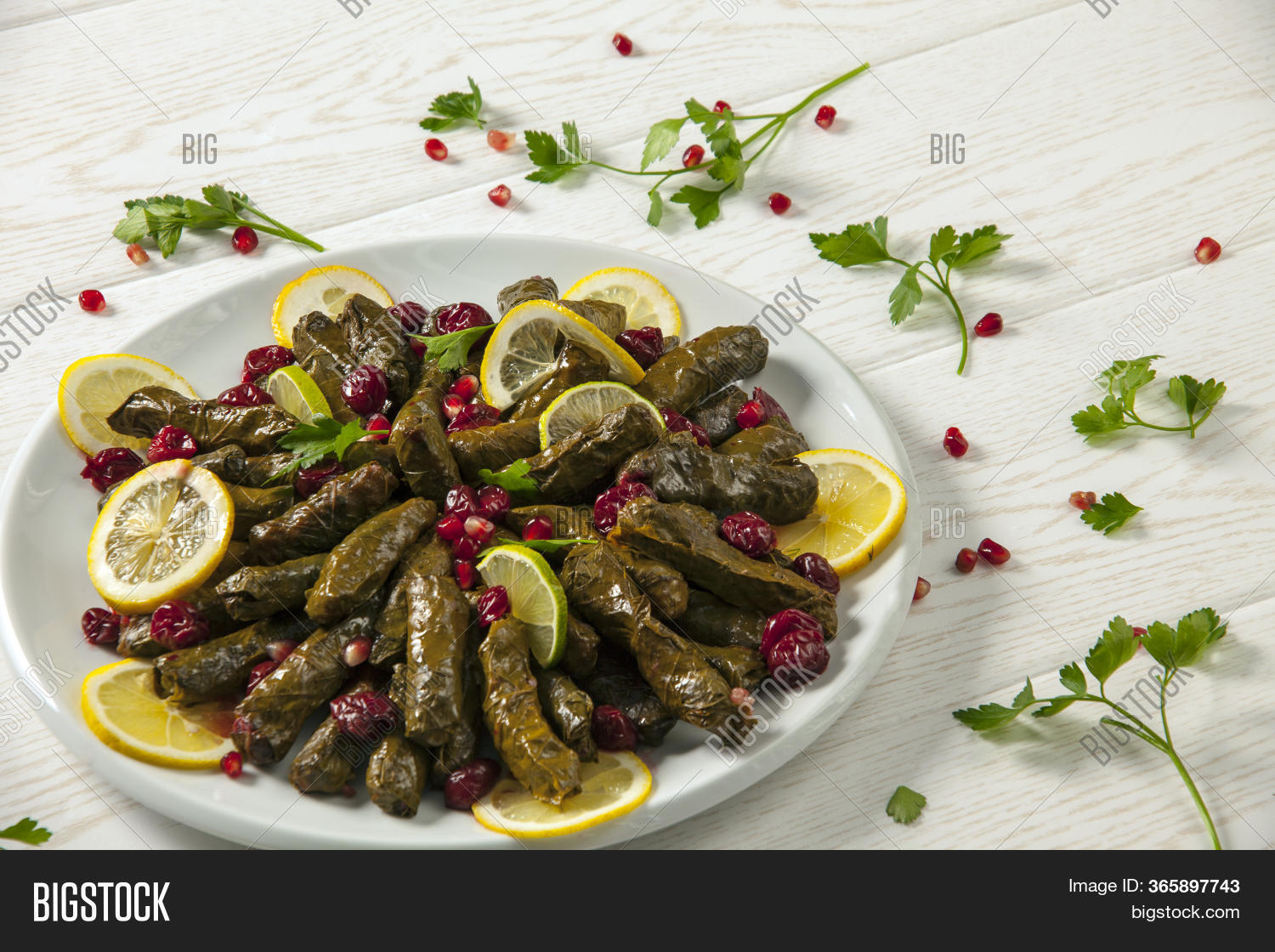 Stuffed Vine Leaves. Image & Photo (Free Trial) Bigstock