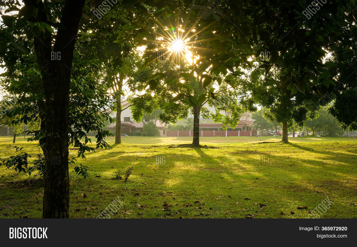 Beautiful Green Park Image & Photo (Free Trial) Bigstock