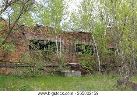 Ruin of lost abandoned industiral house in forest