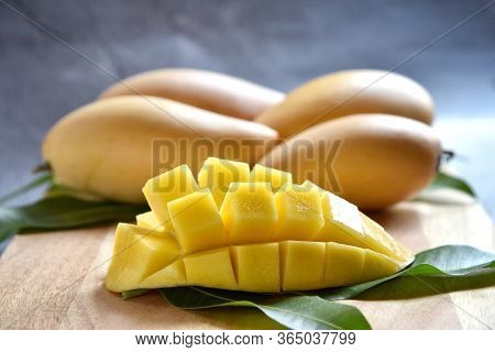 Tropical Fruits. Fresh And Beautiful Mango Fruit Set In A Wooden With Sliced Diced Mango Chunks On A