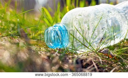 Plastic Bottle Lies On The Grass Under A Tree In The Forest In The Rays Of Sunlight Close-up. Enviro