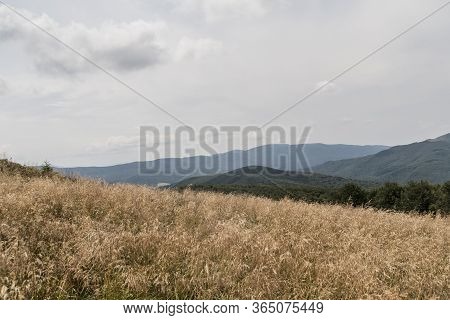 Road From Widelki To Tarnica Through Bukowe Berdo In The Bieszczady Mountains In Poland