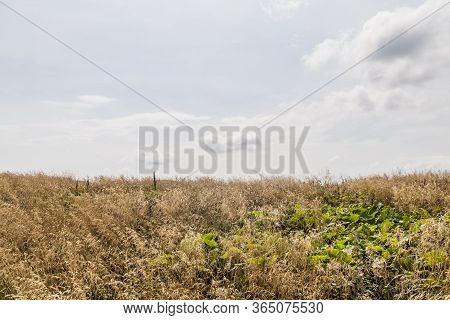 Road From Widelki To Tarnica Through Bukowe Berdo In The Bieszczady Mountains In Poland