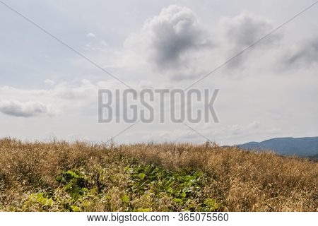 Road From Widelki To Tarnica Through Bukowe Berdo In The Bieszczady Mountains In Poland