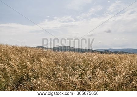 Road From Widelki To Tarnica Through Bukowe Berdo In The Bieszczady Mountains In Poland