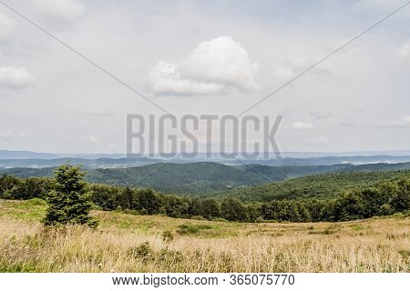 Road From Widelki To Tarnica Through Bukowe Berdo In The Bieszczady Mountains In Poland