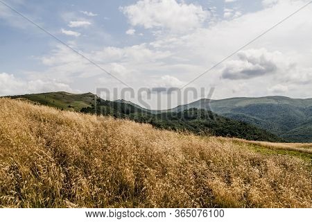 Road From Widelki To Tarnica Through Bukowe Berdo In The Bieszczady Mountains In Poland
