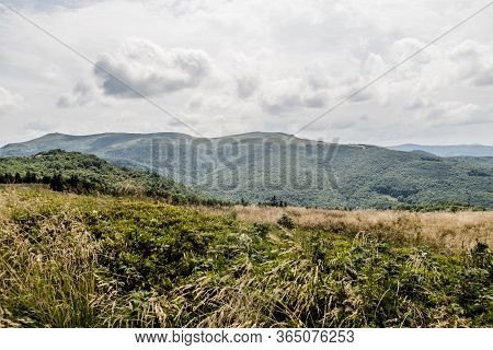 Road From Widelki To Tarnica Through Bukowe Berdo In The Bieszczady Mountains In Poland