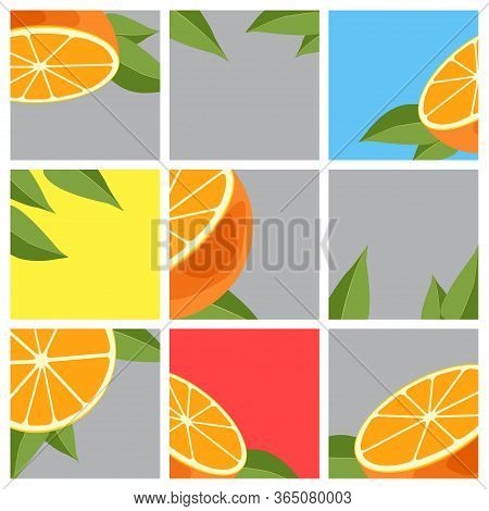 Orange Citrus Fruit Abstrat Background Vector Illustration