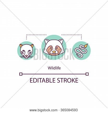 Wildlife Concept Icon. Raccoon In Conservation. Carnivore Feline. Countryside Danger. Wild Animals I