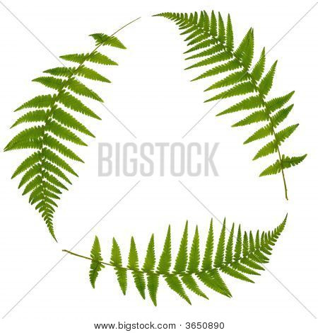 Foglia verde simbolo di riciclaggio