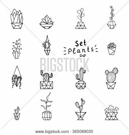 Doodle Plant In Faceted Pot Set. Hand-drawn Leaves, Succulents And Cactus With Poly Flower Pot. Outl